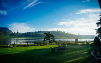 Top Things to Do in Nuwara Eliya: Your Ultimate Guide